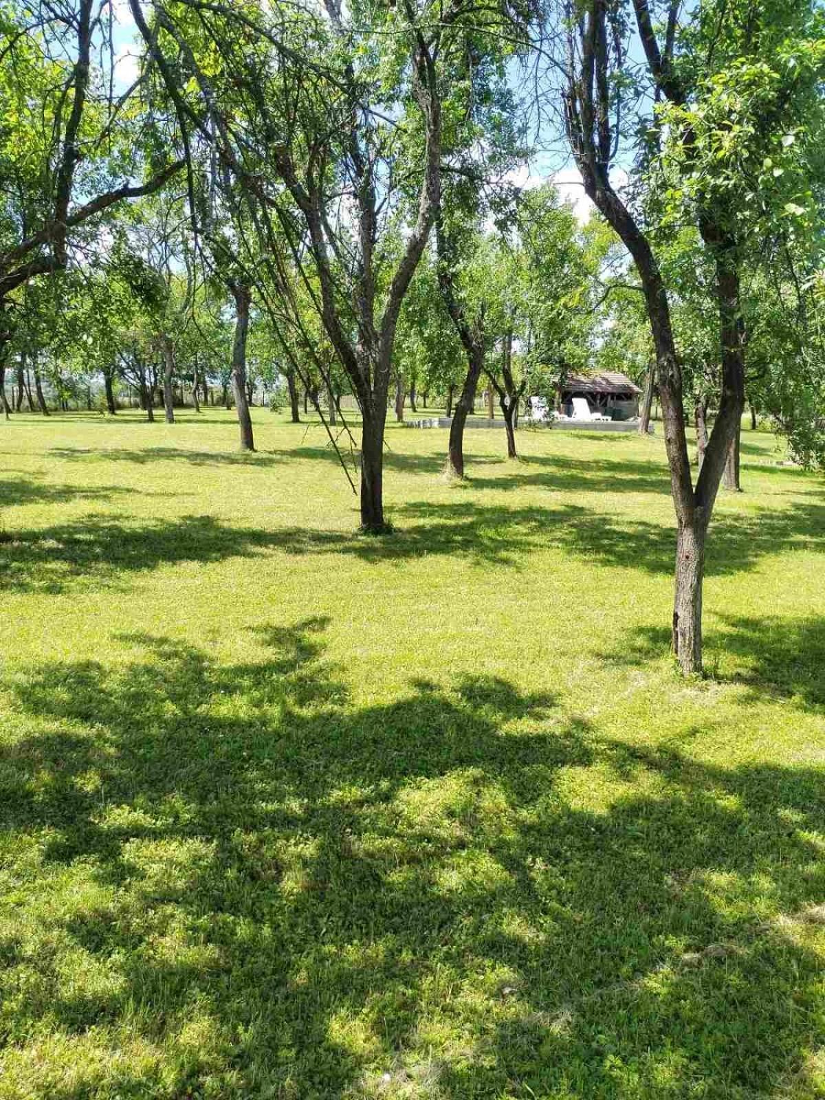 Vikendica Gaj Villa กอร์นีย์มิลาโนวัซ ภายนอก รูปภาพ
